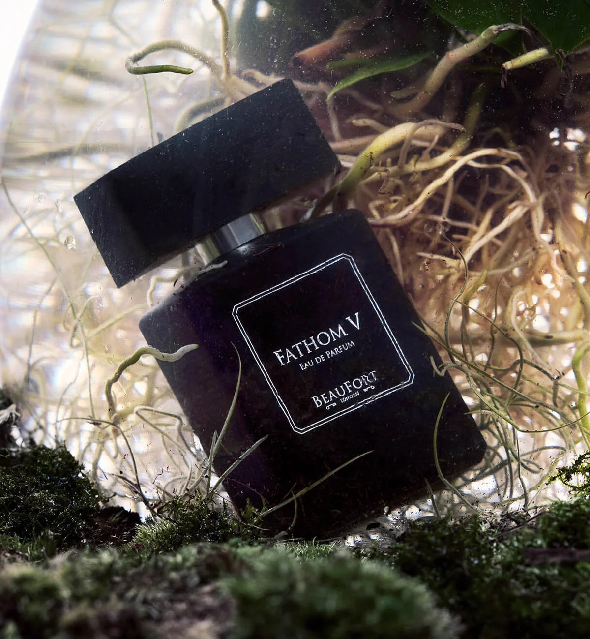 FATHOM V 50ML