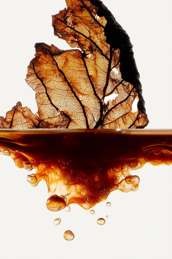 TABAC HEADSPACE 50ML EXTRAIT